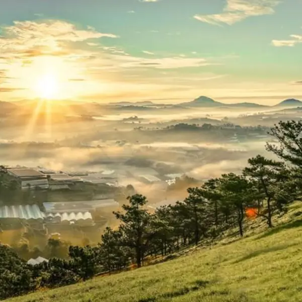 Tour Đà Lạt 1N: Đà Lạt Amazing Tour