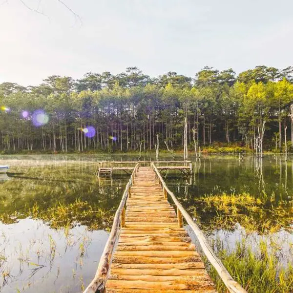 Tour Đà Lạt 1N: Đà Lạt Amazing Tour