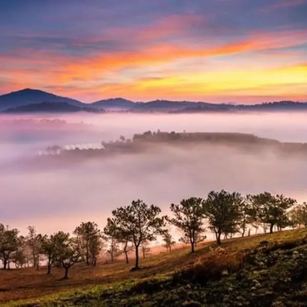 Tour Đà Lạt 1N: Đà Lạt Amazing Tour