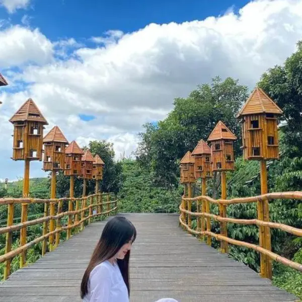 Tour Đà Lạt 1N: Đà Lạt Amazing Tour