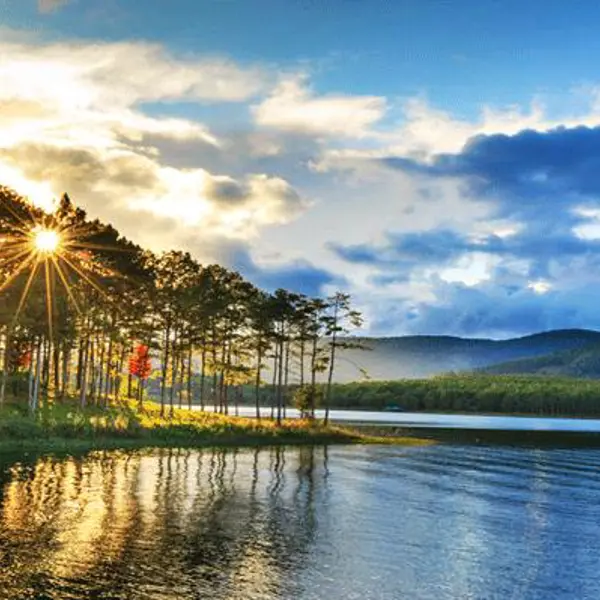 Tour Đà Lạt 1N: Đà Lạt Amazing Tour