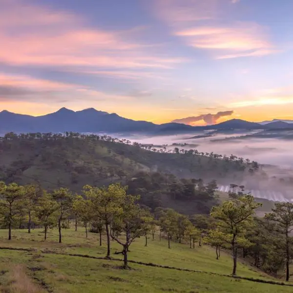 Tour Đà Lạt 1N: Đà Lạt Amazing Tour
