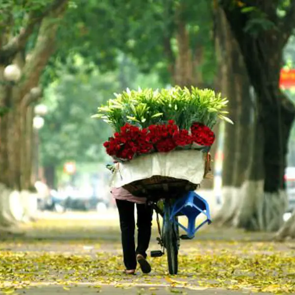Tour Hà Nội 1N: Tham Quan Phố Cổ