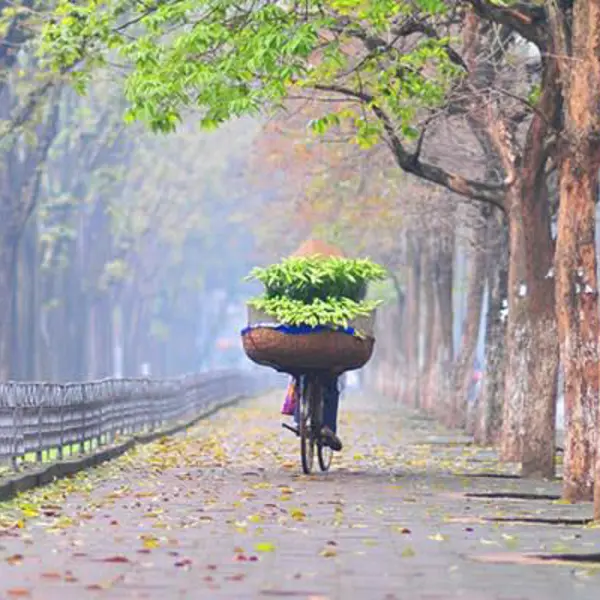 Tour Hà Nội 1N: Tham Quan Phố Cổ