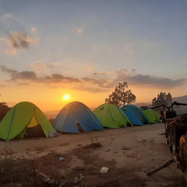 Tour Trekking 2N2Đ: Chinh Phục Tà Năng - Phan Dũng - Cổ Thạch