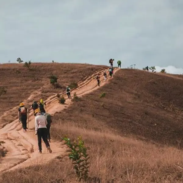 Tour Trekking 2N2Đ: Chinh Phục Tà Năng - Phan Dũng - Cổ Thạch