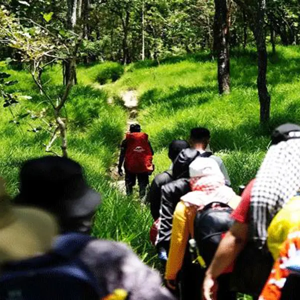 Tour Trekking 2N2Đ: Chinh Phục Tà Năng - Phan Dũng - Cổ Thạch