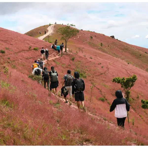 Tour Trekking 2N2Đ: Chinh Phục Tà Năng - Phan Dũng - Cổ Thạch