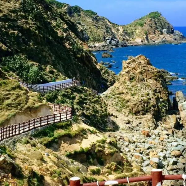 Tour Quy Nhơn 1N: Kỳ Co - Eo Gió