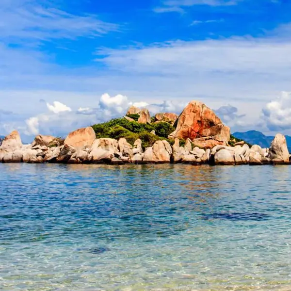 Tour Bình Hưng 2N2Đ: Ninh Chữ - Vịnh Vĩnh Hy - Ngắm San Hô - BBQ Hải Sản