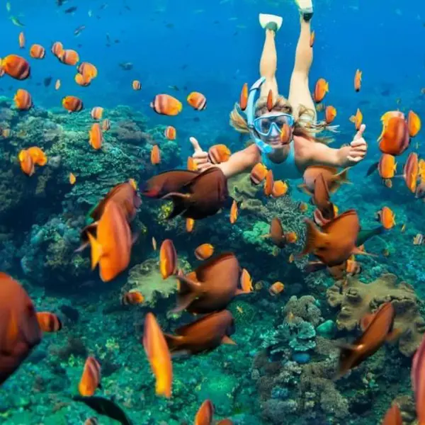 Tour Phú Quốc - Ngắm San Hô - Địa Trung Hải - Cầu Vồng Hoàng Hôn