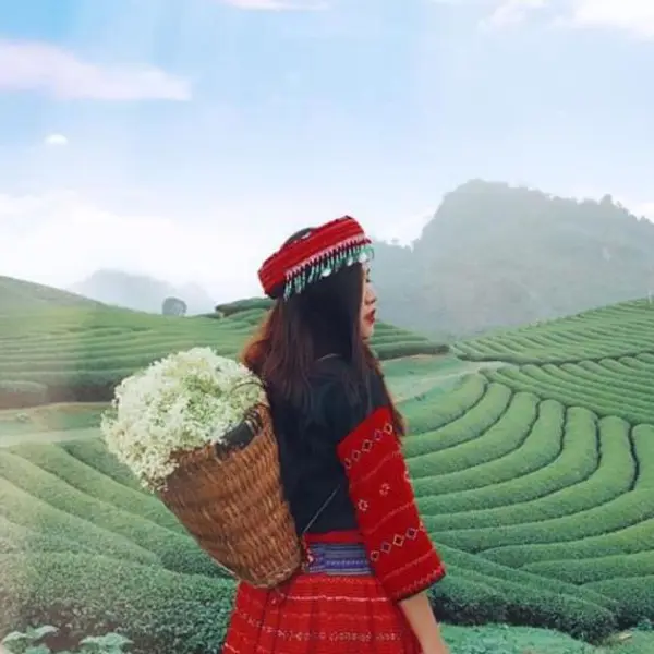 Tour Du Lịch Hà Nội - Mộc Châu
