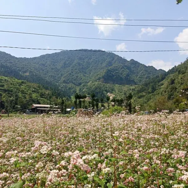 Tour Du Lịch Hà Nội - Quản Bạ - Yên Minh - Lũng Cú - Đồng Văn