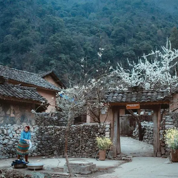Tour Du Lịch Hà Nội - Quản Bạ - Yên Minh - Lũng Cú - Đồng Văn