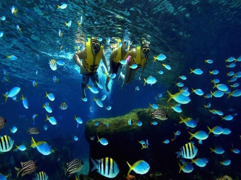 Khách sạn Liberty Central Nha Trang