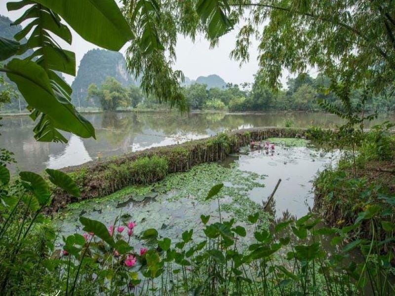 Tam Cốc Garden Resort