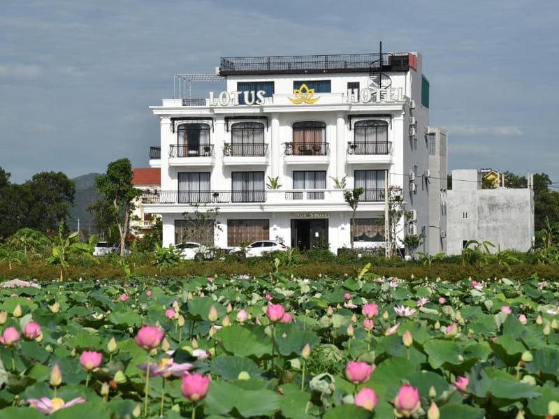 Lotus Hotel Ninh Bình