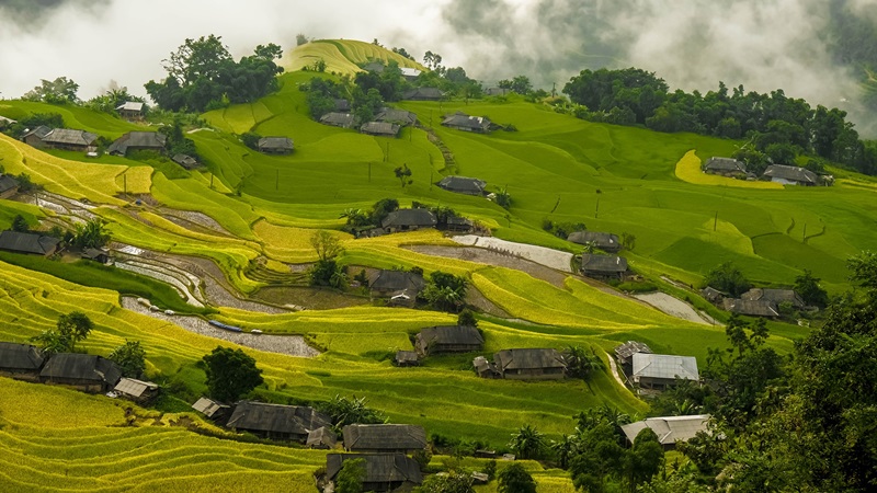 Bản Phùng - Hoàng Su Phì - Thảo Nguyên Suối Thầu