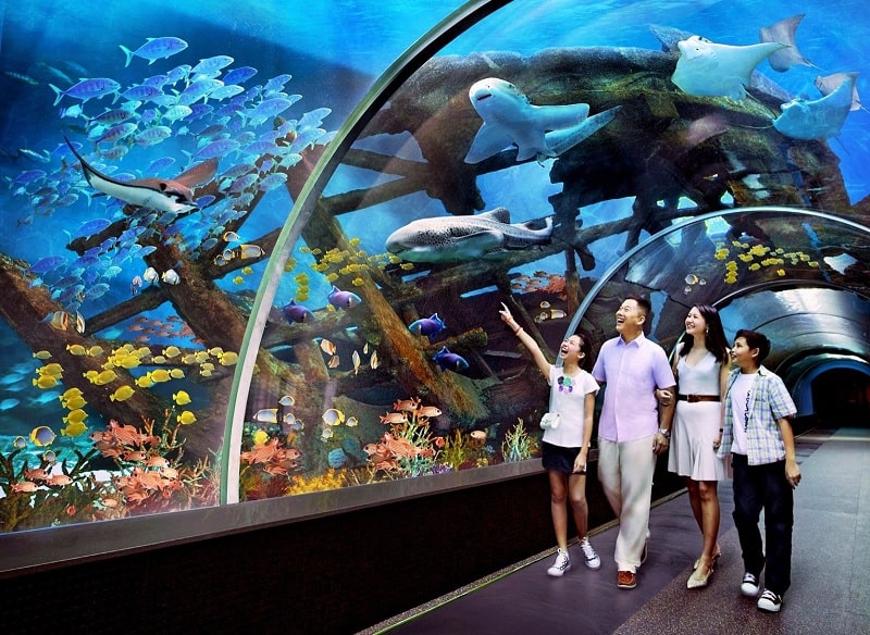 Lotte World Aquarium Hà Nội - Khám phá thủy cung trong nhà lớn nhất Việt Nam