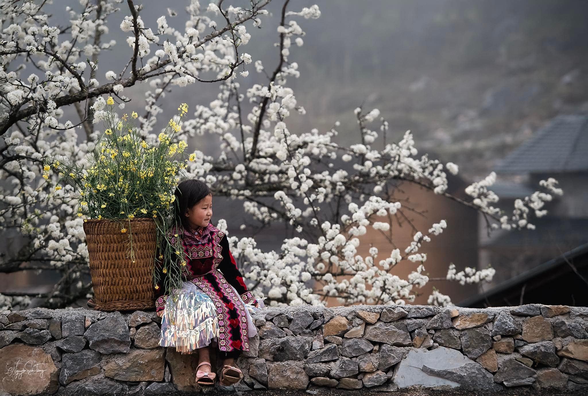 Miền An Nhiên - cao nhiên đá hà giang 