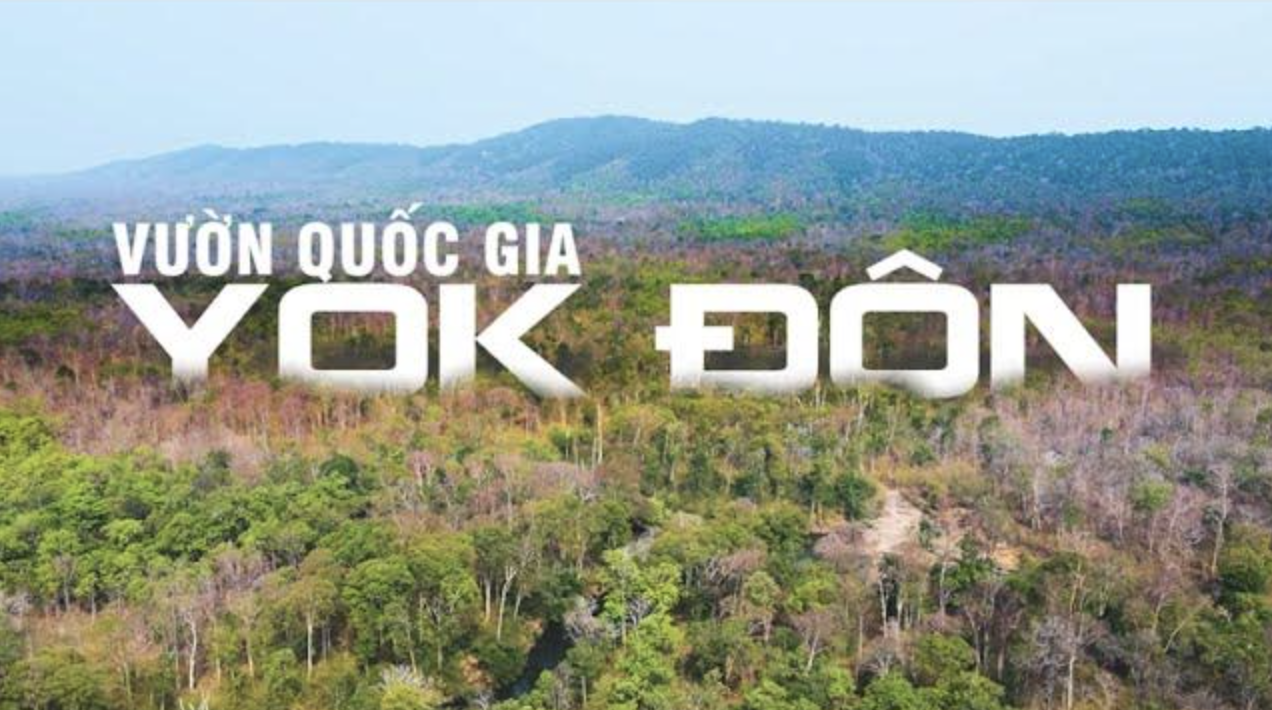 Vườn quốc gia Yok Đôn – Viên ngọc quý của Tây Nguyên