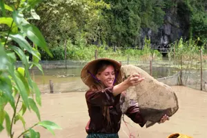 Du khách nước ngoài "háo hức" cưỡi trâu, bắt cá khi du lịch Ninh Bình