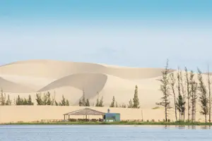 Bàu Trắng (Bình Thuận) - Nơi sa mạc khô hạn hòa quyện cùng ốc đảo xanh mát