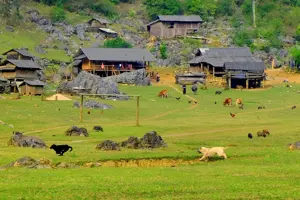 Làng Nguyên Thủy Hang Táu: Khám phá vẻ đẹp hoang sơ và cuộc sống tách biệt tại Mộc Châu