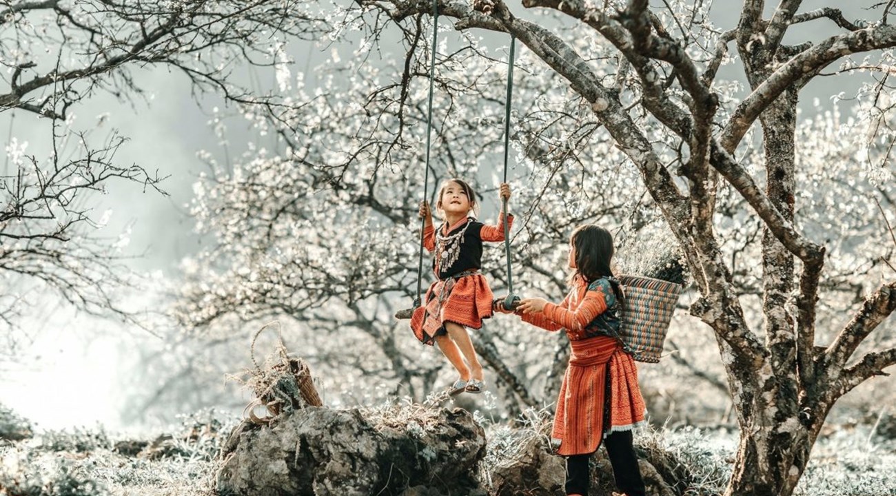 Du lịch Mộc Châu mùa hoa mận - Vẻ đẹp thanh khiết của chốn cao nguyên xanh