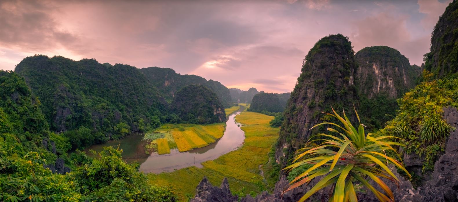 Những địa điểm du lịch nổi tiếng tại Ninh Bình - Cố đô cổ kính và trầm mặc
