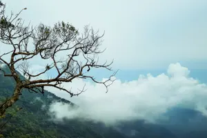 Tam Đảo - "Đạ Lạt thu nhỏ" cách Hà Nội chỉ 2 tiếng đi xe