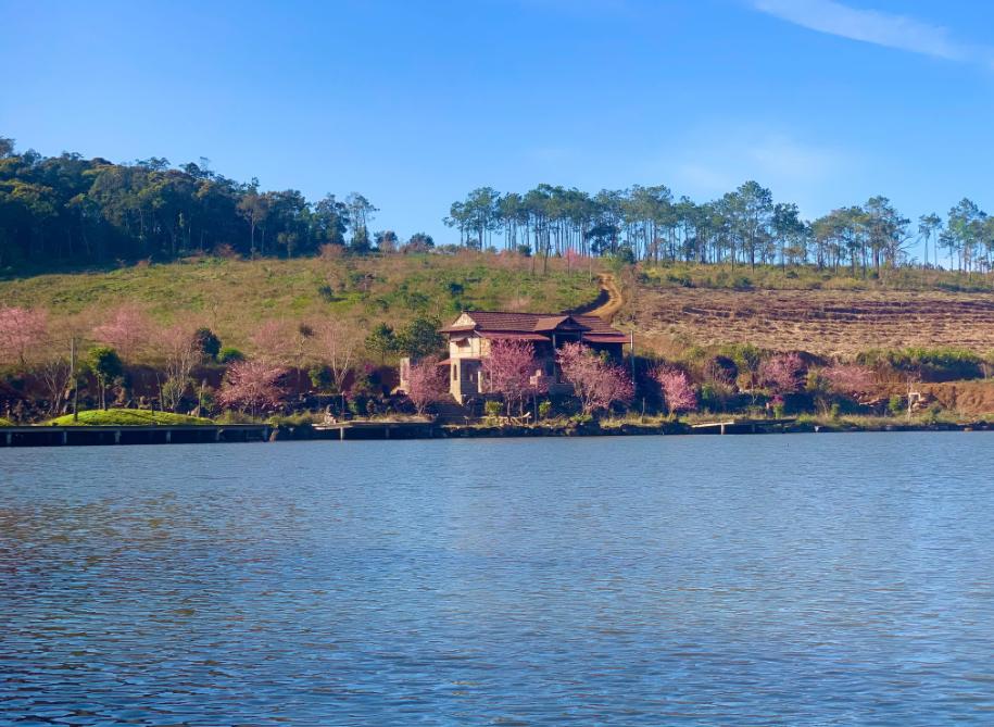 Khu du lịch hồ ĐamBri: Viên ngọc xanh giữa lòng đại ngàn