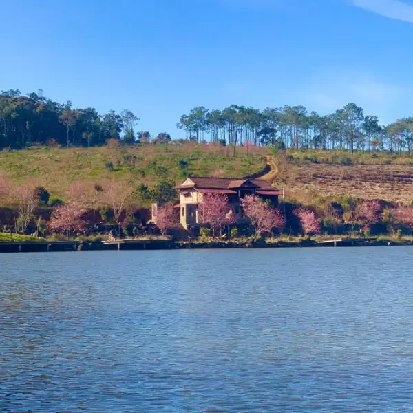 Khu du lịch hồ ĐamBri: Viên ngọc xanh giữa lòng đại ngàn