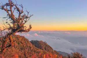 Khám phá Phja Oắc Cao Bằng: Săn mây, ngắm băng trên "nóc nhà thứ hai"