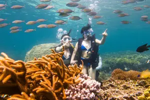 Lặn biển tại đảo Phú Quý: Khám phá "thiên đường" san hô tuyệt đẹp