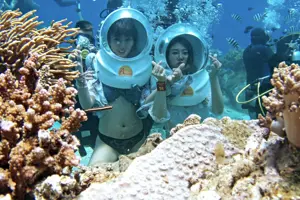 Trải nghiệm lặn ngắm san hô tại Nha Trang: Khám phá "thành phố dưới đáy đại dương"