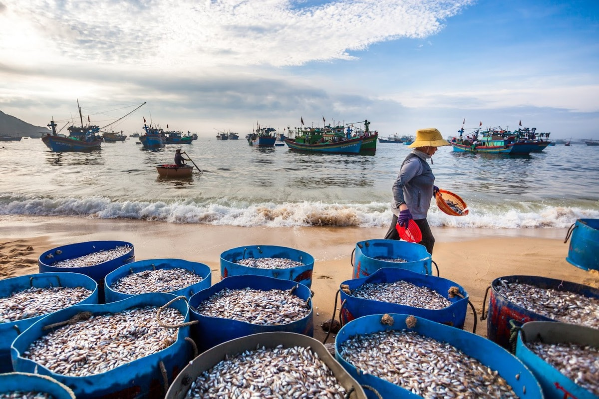 Khám phá nhịp sống bình dị, gần gũi của làng chài Nhơn Hải