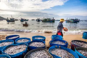 Khám phá nhịp sống bình dị, gần gũi của làng chài Nhơn Hải