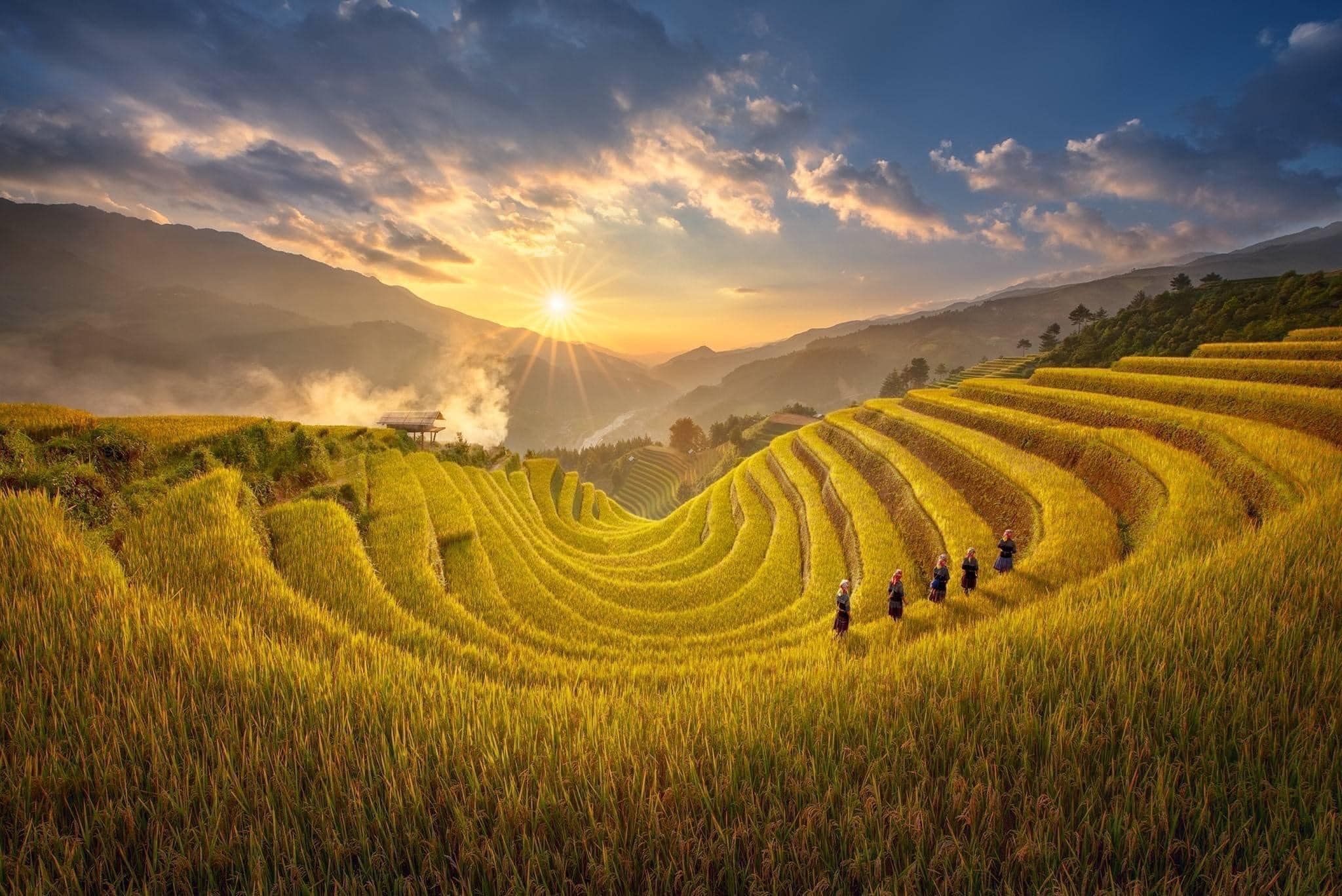 Mùa lúa chín vàng Mù Cang Chải