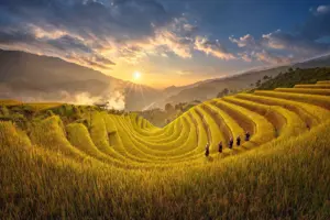 Mùa lúa chín vàng Mù Cang Chải