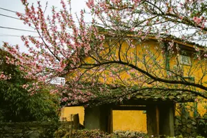 Lô Lô Chải những ngày cuối năm - Chạm tay vào không gian cổ tích của cao nguyên đá