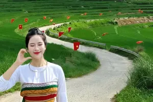 Con đường cờ đỏ sang vàng tại ruộng bậc thang Pù Luông nhân dịp Quốc khánh 2.9