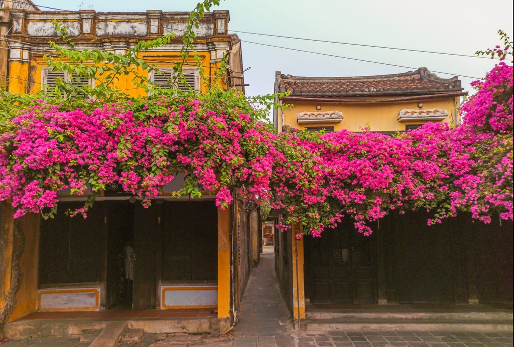 Sắc màu Hội An - Vẻ đẹp cổ kính, rực rỡ nhuốm màu thời gian