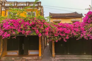 Sắc màu Hội An - Vẻ đẹp cổ kính, rực rỡ nhuốm màu thời gian