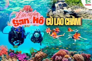 Seatrek khám phá thế giới san hô tuyệt đẹp tại Cù Lao Chàm