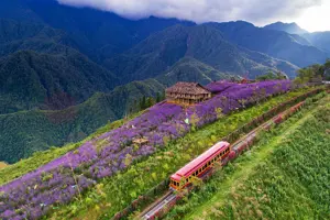 Thung lũng Mường Hoa (Sapa) - Nơi sở hữu ruộng bậc thang đẹp nhất thế giới