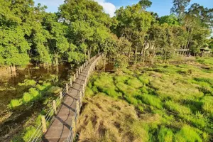 Trải nghiệm độ đáo tour đêm VQG Cát Tiên: Khám phá thế giới hoang dã về đêm