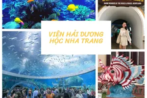 Viện Hải Dương Học Nha Trang - Đại dương thu nhỏ trong lòng tại Việt Nam
