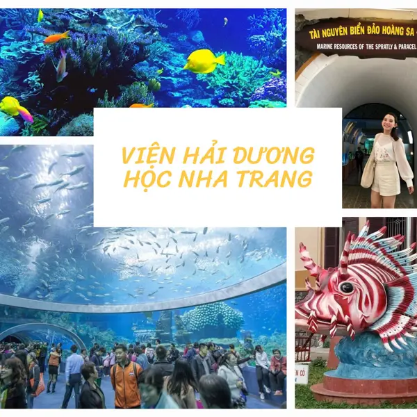 Viện Hải Dương Học Nha Trang - Đại dương thu nhỏ trong lòng tại Việt Nam