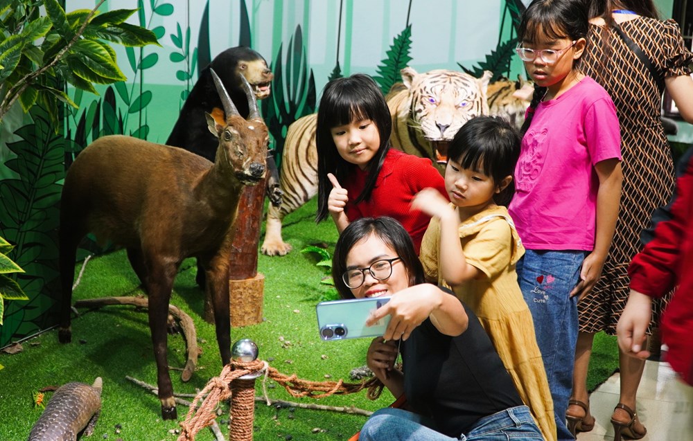 Bảo tàng Thiên nhiên duyên hải miền Trung ở Huế – Điểm đến khám phá thiên nhiên độc đáo